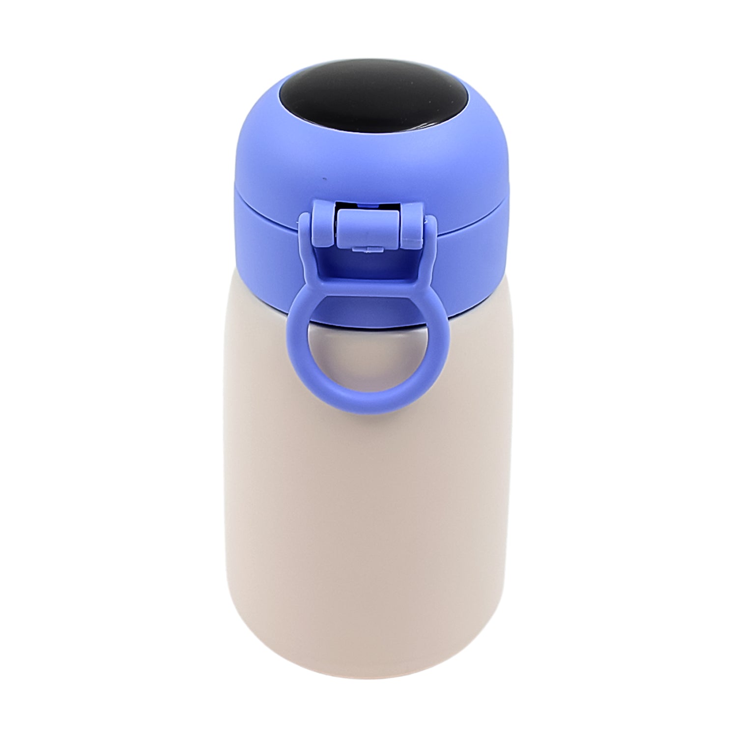 Smart Vacuum Insulated Water Bottle With Led Temperature Display (300 Ml)
