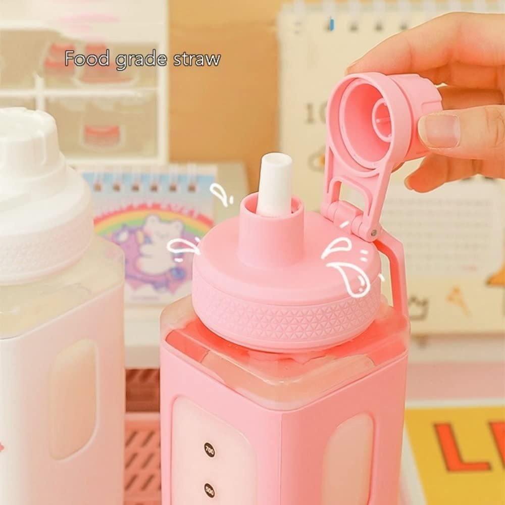 Kawaii Water Bottle with Lid and Straw (700ml)