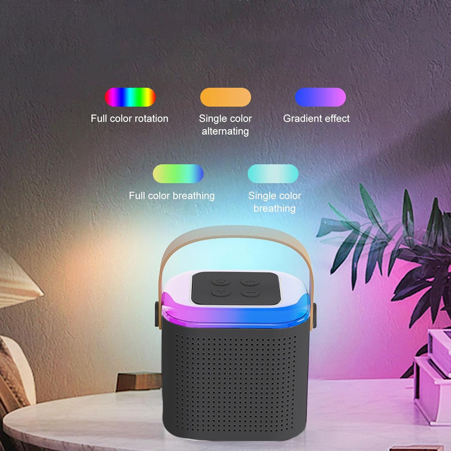 Portable Karaoke Set