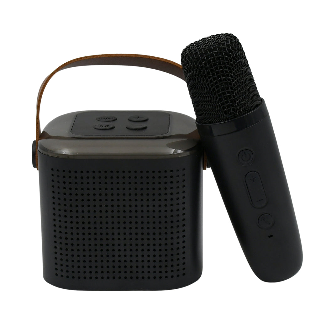 Portable Karaoke Set
